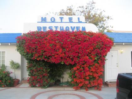 Rest Haven Motel Santa Monica