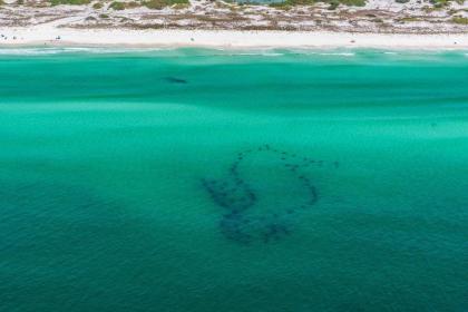 Topsail Village 324 on 30A by RealJoy Vacations - image 3