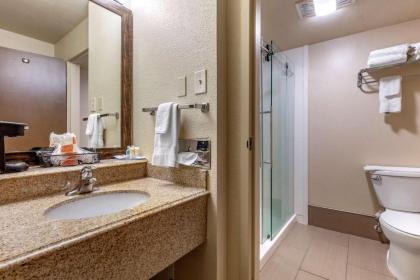 Comfort Inn City of Natural Lakes - image 12