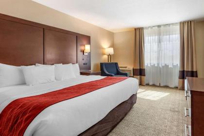 Comfort Inn City of Natural Lakes - image 14