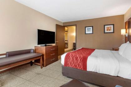 Comfort Inn City of Natural Lakes - image 15