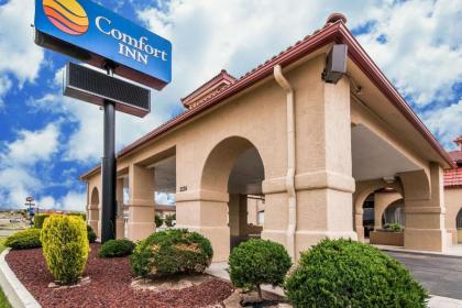 Comfort Inn City of Natural Lakes - image 2