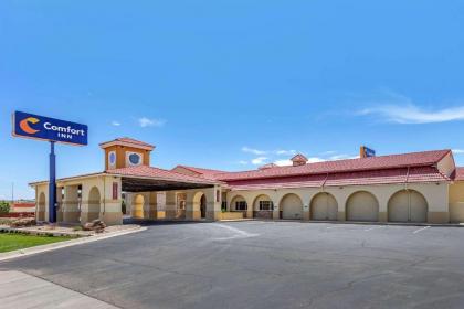 Comfort Inn City of Natural Lakes - image 3