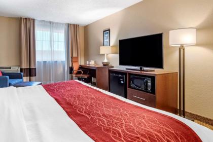 Comfort Inn City of Natural Lakes - image 8