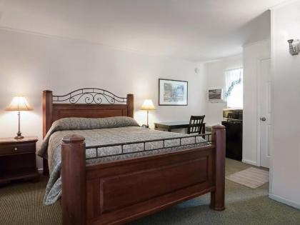 Birches Motel - image 10