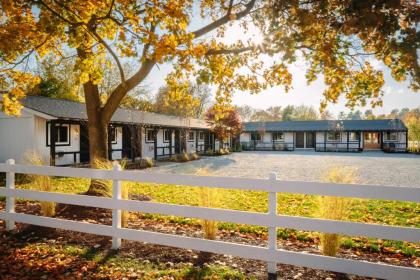 Brentwood Hotel - image 12