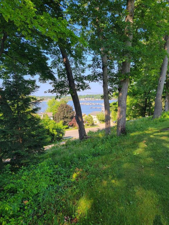 This Charming 2 bed condo is next to downtown Saugatuck and includes a pool! - image 4