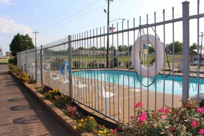 Savannah Lodge - image 3