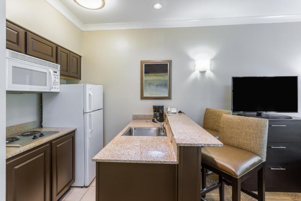 Staybridge Suites Savannah Historic District an IHG Hotel - image 4