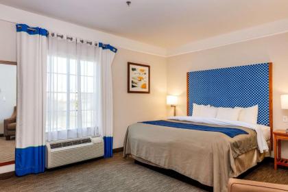 Comfort Inn & Suites Savannah Airport - image 3