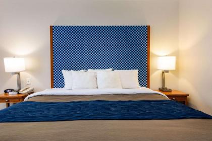 Comfort Inn & Suites Savannah Airport - image 4