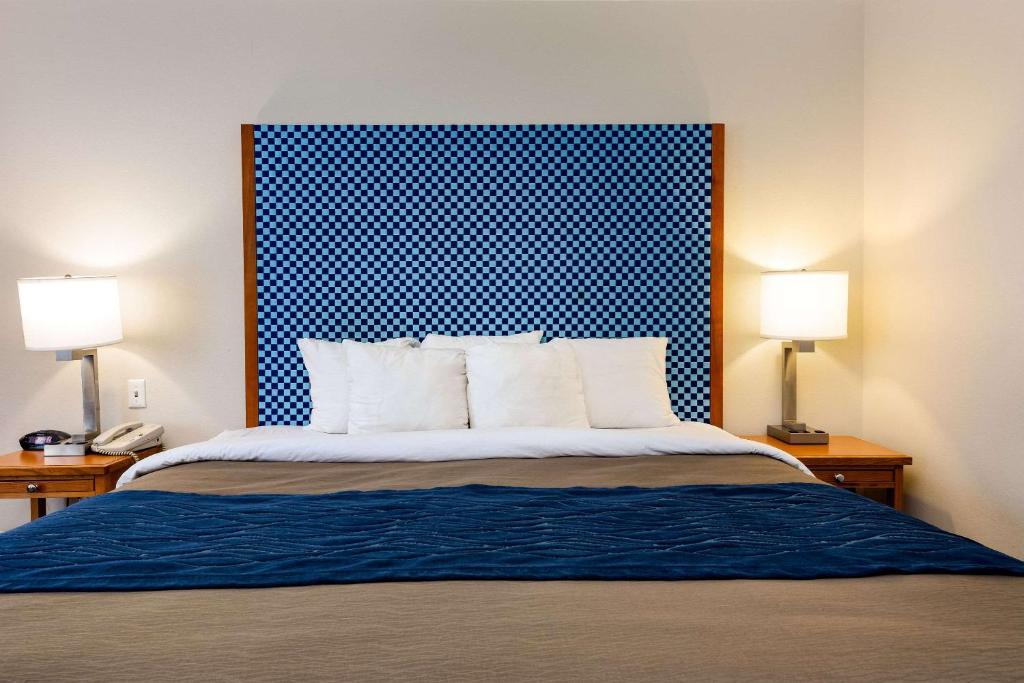 Comfort Inn & Suites Savannah Airport - image 4