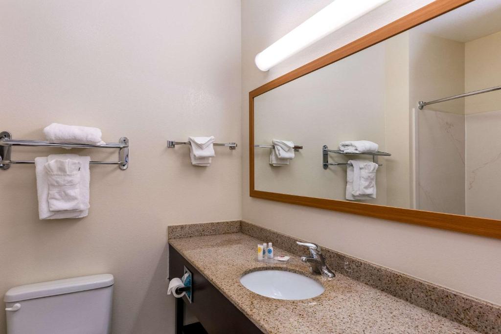 Comfort Inn & Suites Savannah Airport - image 5
