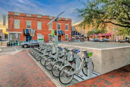 Savannah Serendipity - image 5