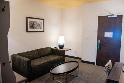 Holiday Inn & Suites - Savannah Airport - Pooler an IHG Hotel - image 2