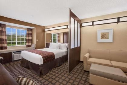 Microtel Inn & Suites-Sayre PA - image 3