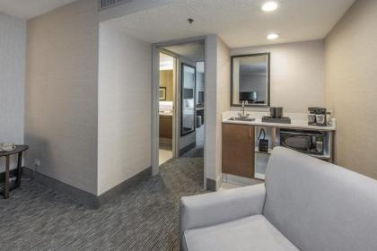Embassy Suites Chicago - Schaumburg/Woodfield - image 8