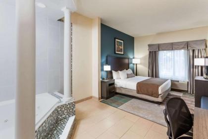 Wingate by Wyndham Schaumburg/Convention Center - image 15