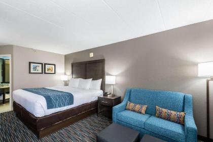 Comfort Inn Schaumburg Woodfield Chicago - image 12