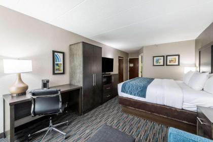 Comfort Inn Schaumburg Woodfield Chicago - image 13