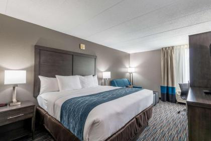 Comfort Inn Schaumburg Woodfield Chicago - image 14