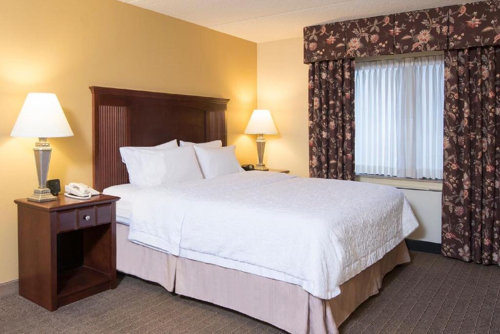 Hampton Inn Schenectady - image 4