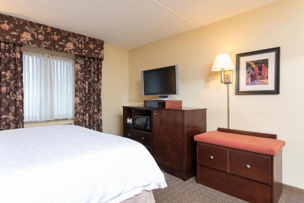 Hampton Inn Schenectady - image 5