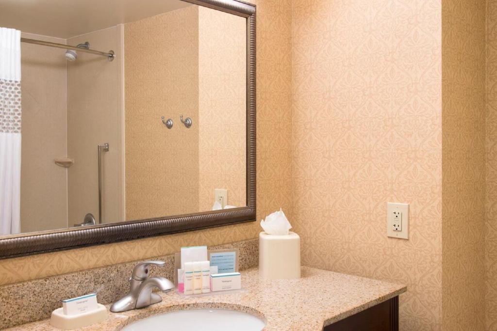 Hampton Inn Schenectady - image 7