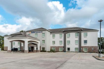 Comfort Inn & Suites Scott - West Lafayette Scott Louisiana