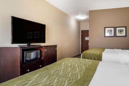 Comfort Inn & Suites Scott - West Lafayette - image 10