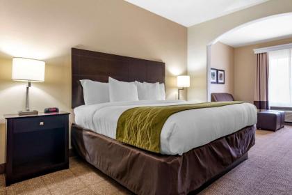 Comfort Inn & Suites Scott - West Lafayette - image 11