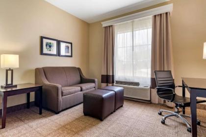 Comfort Inn & Suites Scott - West Lafayette - image 12