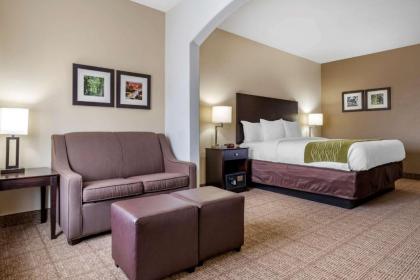 Comfort Inn & Suites Scott - West Lafayette - image 14