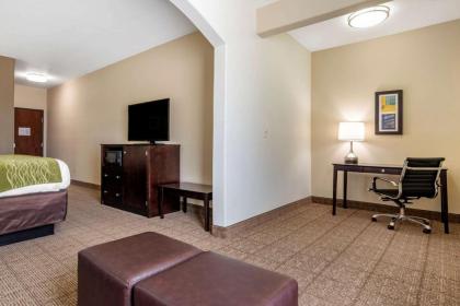 Comfort Inn & Suites Scott - West Lafayette - image 15