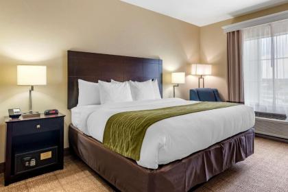 Comfort Inn & Suites Scott - West Lafayette - image 5