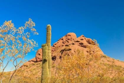 Grayhawk Condo - image 5