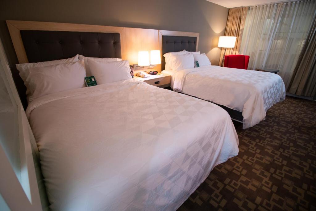 Holiday Inn Scranton East - Dunmore an IHG Hotel - image 7