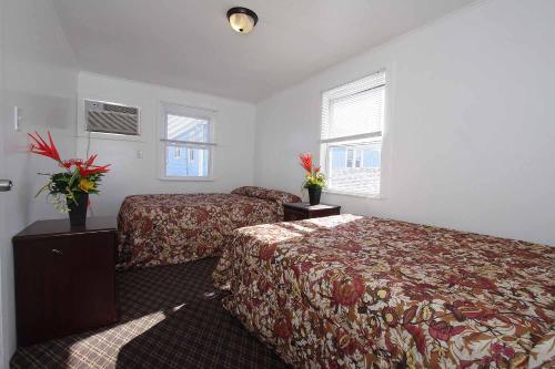 Shore Beach Houses - 43B Lincoln Ave - image 4