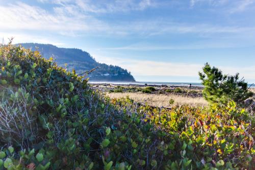 Ocean Vista Vacation Home - image 4