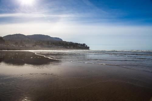 Gulls Nest (610) - image 4