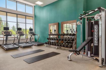 Hilton Garden Inn Seattle Airport - image 4