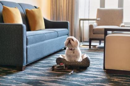 Homewood Suites by Hilton-Seattle Convention Center-Pike Street - image 3