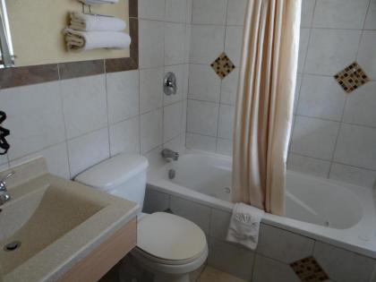 American Inn - image 13
