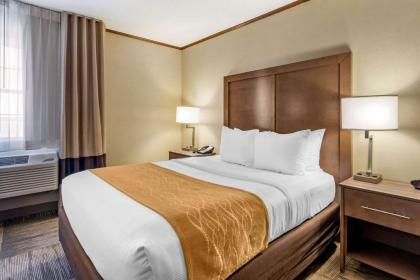 Comfort Inn Sedalia Station - image 12