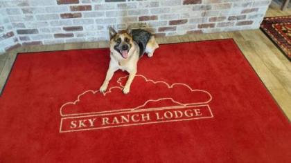 Sky Ranch Lodge - image 3