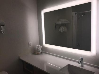 Holiday Inn Selma - Swancourt - image 6