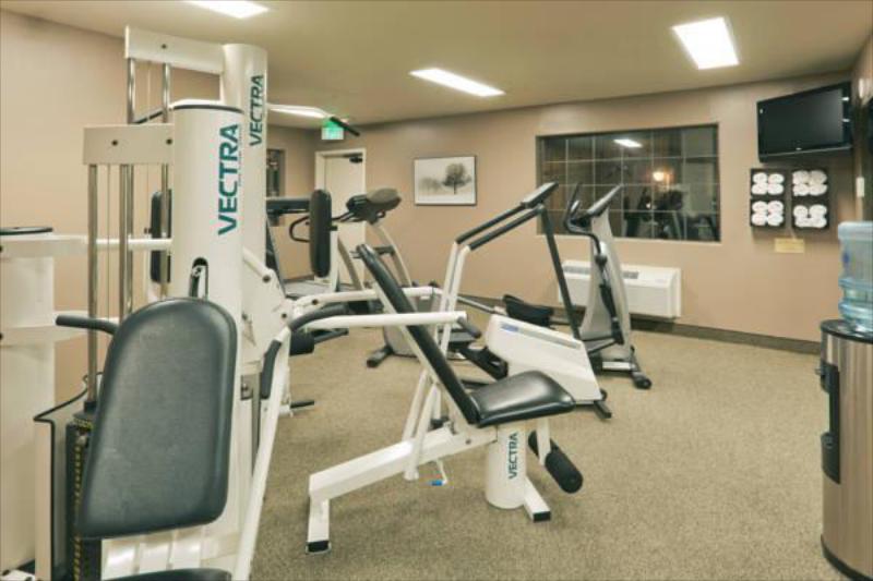 Holiday Inn Selma - Swancourt - image 7