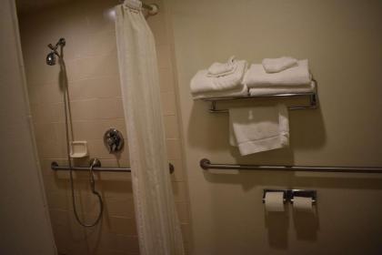 Best Western Colonial Inn - image 10