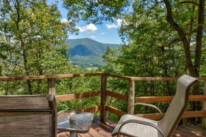 mockingbirds View Sevierville