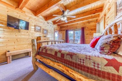 Million Dollar View Cabin - image 5